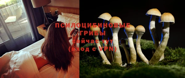 таблы Абаза