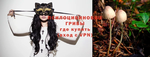 spice Абдулино