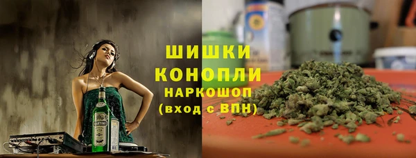 шишки Алзамай