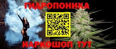 гидропоника Тверь