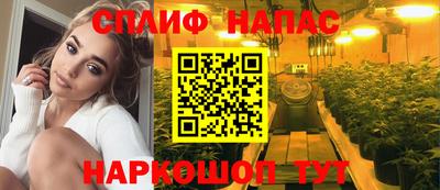 гидропоника Тверь