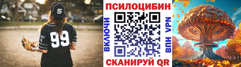 Псилоцибиновые грибы Cubensis  Старая Русса 