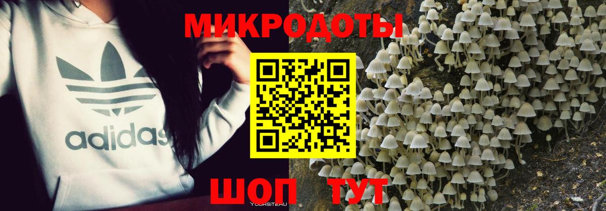 Галлюциногенные грибы GOLDEN TEACHER Старая Русса