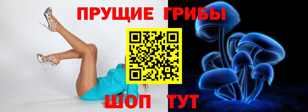 Галлюциногенные грибы Psilocybine cubensis  Вход с VPN  Старая Русса 